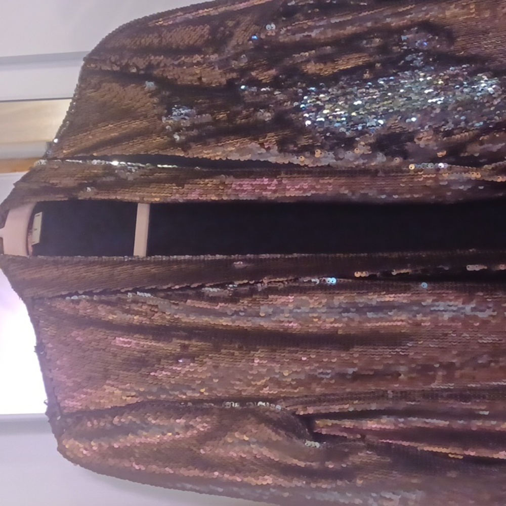 ZARA Metallic Sequin Blazer Jacket Cardigan Bronze/Silver Colorchanging sz.S - Picture 2 of 5